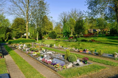 Graves