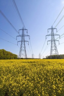 Pylons carrying high voltage electricity cables over countryside crop of yellow old seed rape