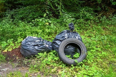 Illegal waste disposal