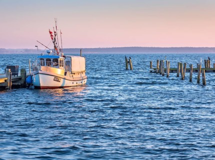 Fishing boat in the harbour at the Salzhaff in the evening light