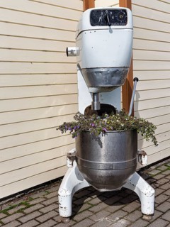 Large food processor as a flower pot