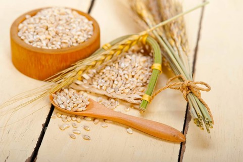 Organic wheat grains over rustic wood table macro closeup