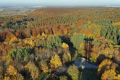 View of autumn forest from the Schönbuch Tower