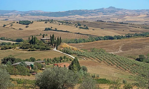 Podere Belvedere estate