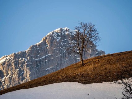 Blue sky over winter landscape