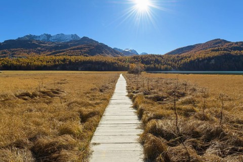 Boardwalk with sun on Lake Silsersee in autumn