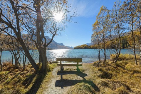 Lake Silsersee with bench and sun in autumn