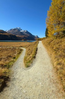Forked hiking trail on Lake Silsersee in autumn