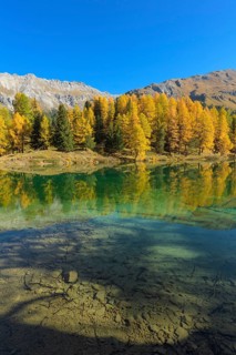 Mountain lake with larch trees in autumn