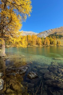 Mountain lake with larch trees in autumn