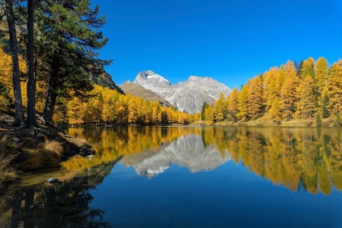 Mountain lake with larch trees in autumn