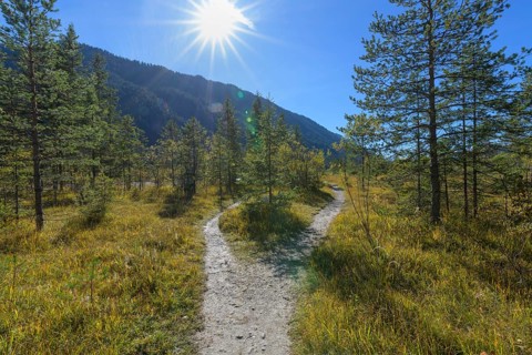 Forked hiking trail with sun