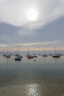 Harbor with fishing boats