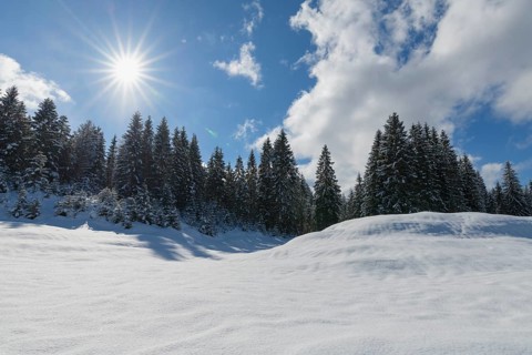 Winter landscape with sun
