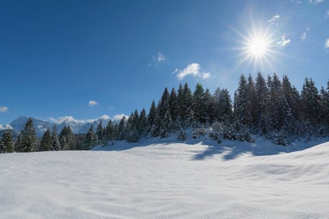 Winter landscape with sun