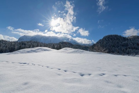 Winter landscape with sun