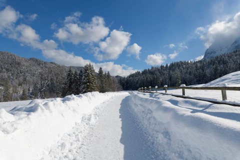 Path in winter