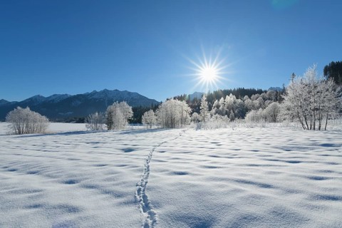 Winter landscape with sun near lake Barmsee