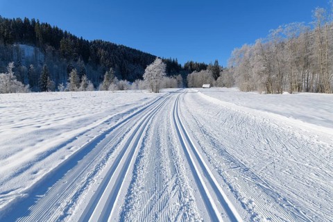 Cross country skiing track in winter landscape near lake Barmsee