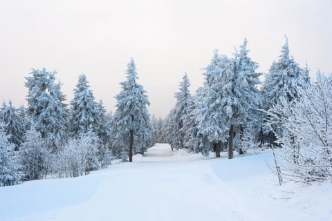 Ski slope in the morning