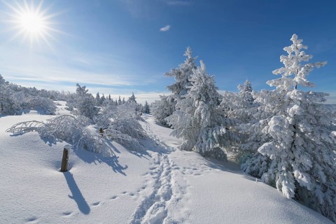 Snow covered winter landscape with sun and footprints