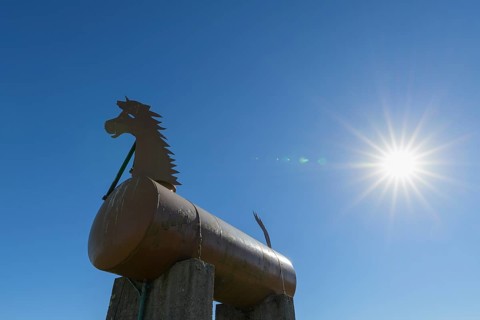 Trojan horse with sun