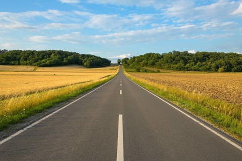 Country road with grain fields in summer