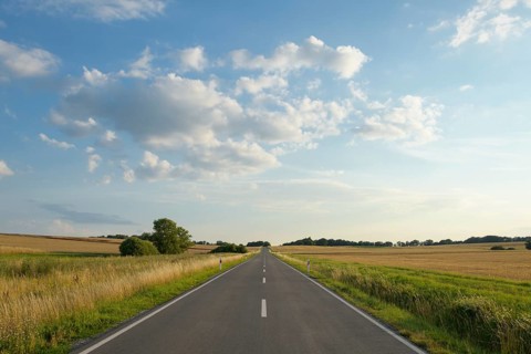 Country road with grain fields in summer
