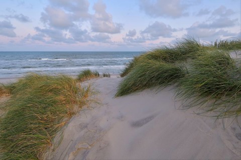 Dune landscape with the north sea in the morning