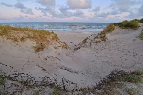 Dune landscape with the north sea in the morning