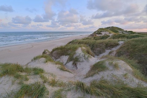 Dune landscape with the north sea in the morning
