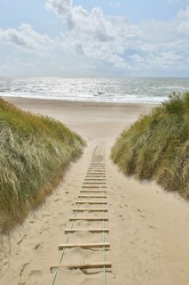Dune landscape with sandy footpath to the sea in summer