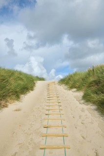 Dune landscape with sandy footpath to the sea in summer