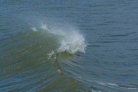 Breaking Wave