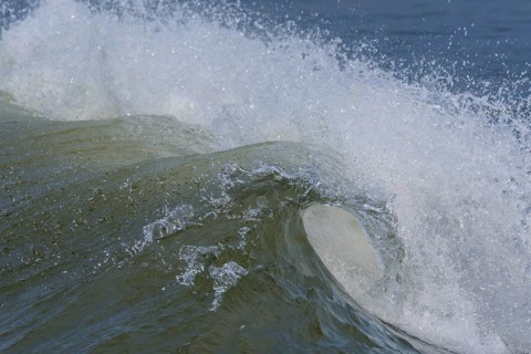 Breaking Wave