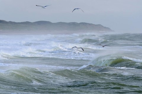 Breaking Wave