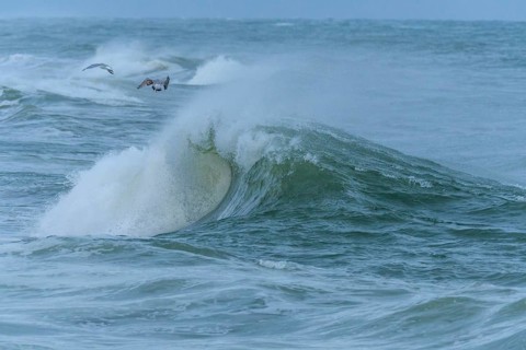 Breaking Wave
