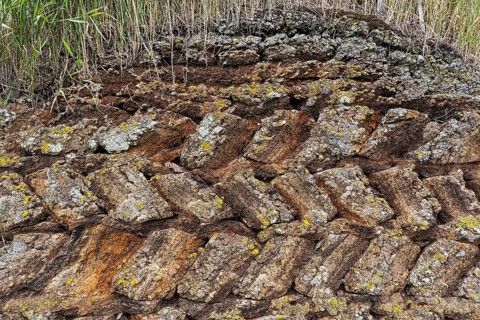 Wall of peat
