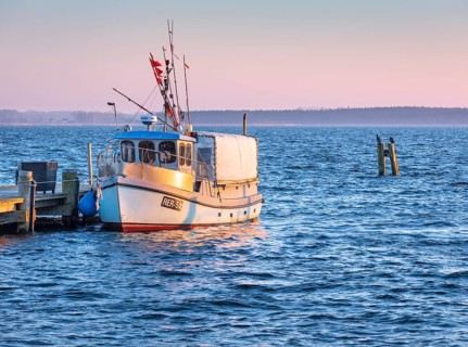 Fishing boat in the harbour at the Salzhaff in the evening light
