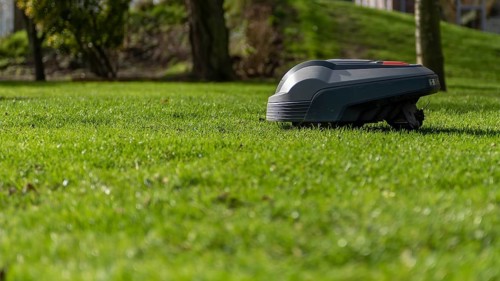 The robotic lawnmower mows the lawn