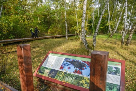 Display boards