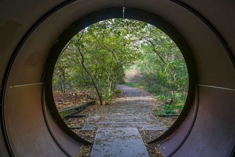 Stegweg