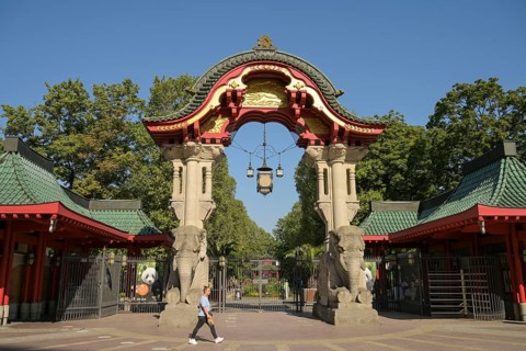 Elephant Gate