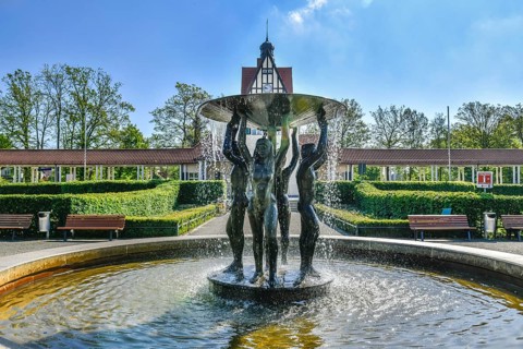 Fountain joie de vivre