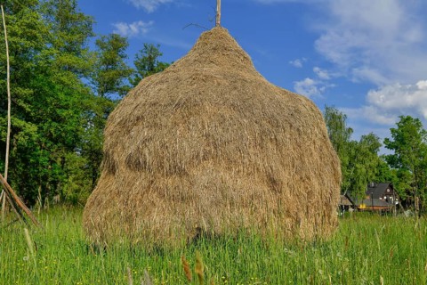 Hayloft