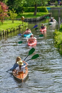 Paddle boats