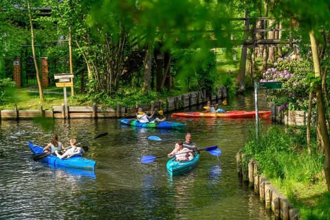 Paddle boats