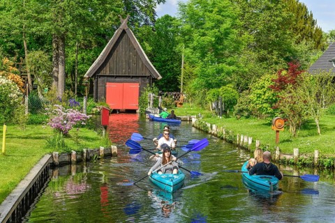 Paddle boats