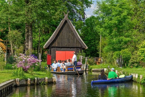 Paddle boat