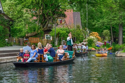 Paddle boat